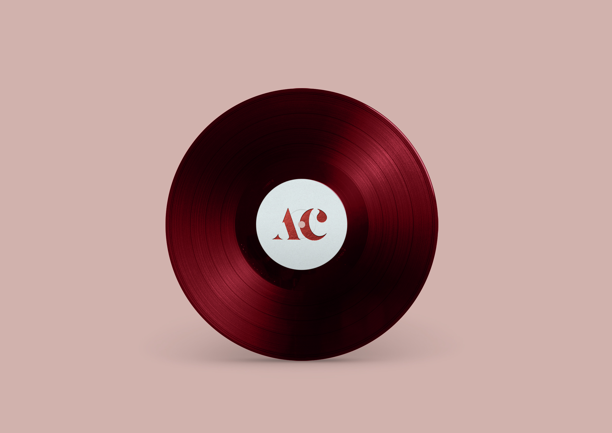 ayc_vinilo_2